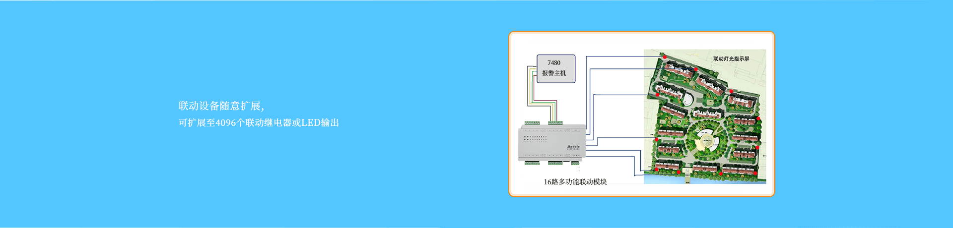豸չ